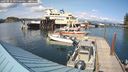 ./images/quadra/hbidock/20240816/hbidock20240816_161000M.jpg