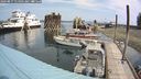 ./images/quadra/hbidock/20240817/hbidock20240817_114501M.jpg