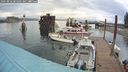 ./images/quadra/hbidock/20240818/hbidock20240818_081002M.jpg
