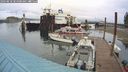 ./images/quadra/hbidock/20240818/hbidock20240818_084001M.jpg