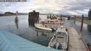 ./images/quadra/hbidock/20240818/hbidock20240818_150500M.jpg