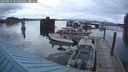 ./images/quadra/hbidock/20240819/hbidock20240819_061001M.jpg