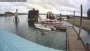 ./images/quadra/hbidock/20240819/hbidock20240819_101501M.jpg