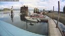 ./images/quadra/hbidock/20240819/hbidock20240819_113001M.jpg