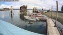 ./images/quadra/hbidock/20240819/hbidock20240819_114002M.jpg