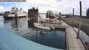 ./images/quadra/hbidock/20240819/hbidock20240819_114500M.jpg