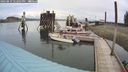 ./images/quadra/hbidock/20240819/hbidock20240819_122001M.jpg