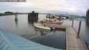 ./images/quadra/hbidock/20240819/hbidock20240819_165501M.jpg