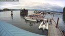 ./images/quadra/hbidock/20240819/hbidock20240819_174500M.jpg
