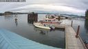 ./images/quadra/hbidock/20240819/hbidock20240819_183000M.jpg