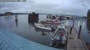 ./images/quadra/hbidock/20240819/hbidock20240819_205000M.jpg