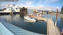 ./images/quadra/hbidock/20240820/hbidock20240820_155500M.jpg