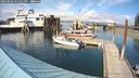 ./images/quadra/hbidock/20240820/hbidock20240820_155501M.jpg