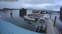 ./images/quadra/hbidock/20240821/hbidock20240821_060500M.jpg