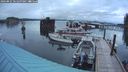 ./images/quadra/hbidock/20240821/hbidock20240821_061500M.jpg
