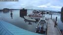 ./images/quadra/hbidock/20240821/hbidock20240821_062002M.jpg