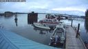 ./images/quadra/hbidock/20240821/hbidock20240821_062500M.jpg