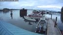 ./images/quadra/hbidock/20240821/hbidock20240821_062501M.jpg