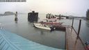 ./images/quadra/hbidock/20240821/hbidock20240821_091001M.jpg