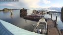./images/quadra/hbidock/20240822/hbidock20240822_083500M.jpg