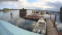 ./images/quadra/hbidock/20240822/hbidock20240822_093001M.jpg