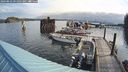 ./images/quadra/hbidock/20240823/hbidock20240823_091001M.jpg
