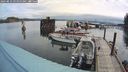 ./images/quadra/hbidock/20240823/hbidock20240823_095000M.jpg