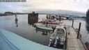 ./images/quadra/hbidock/20240823/hbidock20240823_095002M.jpg