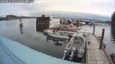 ./images/quadra/hbidock/20240823/hbidock20240823_095500M.jpg