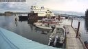 ./images/quadra/hbidock/20240823/hbidock20240823_101501M.jpg