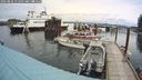 ./images/quadra/hbidock/20240823/hbidock20240823_115001M.jpg