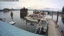 ./images/quadra/hbidock/20240823/hbidock20240823_122500M.jpg