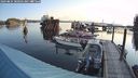./images/quadra/hbidock/20240824/hbidock20240824_080502M.jpg