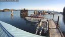 ./images/quadra/hbidock/20240824/hbidock20240824_093001M.jpg