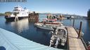 ./images/quadra/hbidock/20240824/hbidock20240824_114001M.jpg