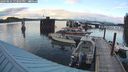 ./images/quadra/hbidock/20240824/hbidock20240824_193501M.jpg