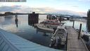 ./images/quadra/hbidock/20240824/hbidock20240824_194500M.jpg