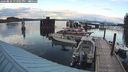 ./images/quadra/hbidock/20240824/hbidock20240824_194501M.jpg