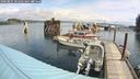 ./images/quadra/hbidock/20240825/hbidock20240825_105501M.jpg