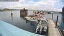 ./images/quadra/hbidock/20240825/hbidock20240825_113000M.jpg