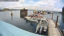 ./images/quadra/hbidock/20240825/hbidock20240825_113001M.jpg