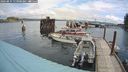 ./images/quadra/hbidock/20240825/hbidock20240825_113501M.jpg