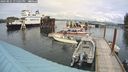 ./images/quadra/hbidock/20240825/hbidock20240825_135001M.jpg