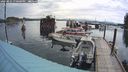./images/quadra/hbidock/20240825/hbidock20240825_190001M.jpg