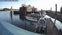 ./images/quadra/hbidock/20240827/hbidock20240827_081001M.jpg
