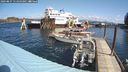 ./images/quadra/hbidock/20240827/hbidock20240827_114500M.jpg