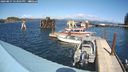 ./images/quadra/hbidock/20240827/hbidock20240827_143001M.jpg