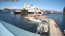 ./images/quadra/hbidock/20240827/hbidock20240827_152001M.jpg