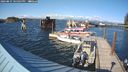 ./images/quadra/hbidock/20240827/hbidock20240827_165001M.jpg