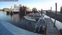 ./images/quadra/hbidock/20240829/hbidock20240829_081001M.jpg